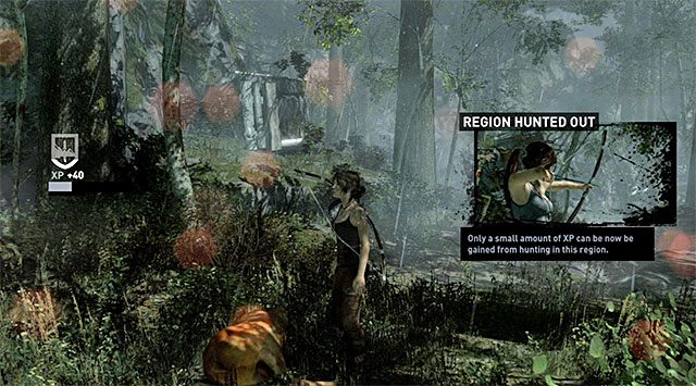 Uwaga - Zabij jelenia i zdobądź jego mięso | 4 - Kobieta kontra dzicz | Tomb Raider - Tomb Raider - poradnik do gry