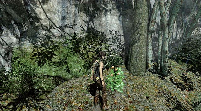 To nie wszystko - Odblokowywanie umiejętności | Umiejętności w Tomb Raider - Tomb Raider - poradnik do gry