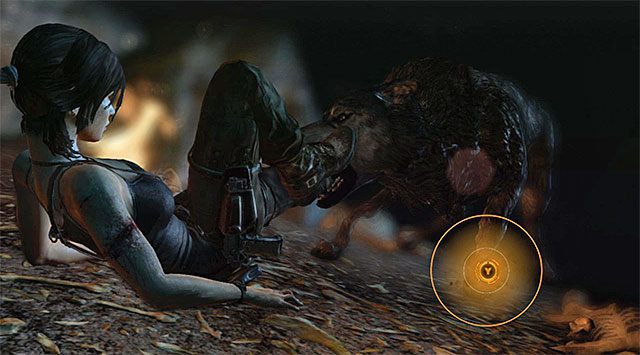 W drodze do wyjścia z jaskini czeka Cię spotkanie z wilkiem, przy czym całość zrealizowana zostanie w formie mini-gry - Przynieś Rothowi nadajnik | 8 - Wołanie o pomoc | Solucja Tomb Raider - Tomb Raider - poradnik do gry