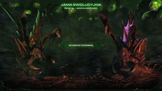 Oprócz tego po ukończeniu niektórych misji, dostaniemy możliwość obrania odpowiedniej ścieżki ewolucyjnej dla naszych podopiecznych - Informacje podstawowe | StarCraft II Heart of the Swarm - StarCraft II: Heart of the Swarm - poradnik do gry
