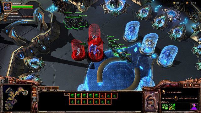 W następnym pomieszczeniu [11] napotkamy kilku zelotów oraz zwierzęta, które zamienimy w biomaterię - Wewnętrzny wróg | Kampania - Kaldir | StarCraft II Heart of the Swarm - StarCraft II: Heart of the Swarm - poradnik do gry