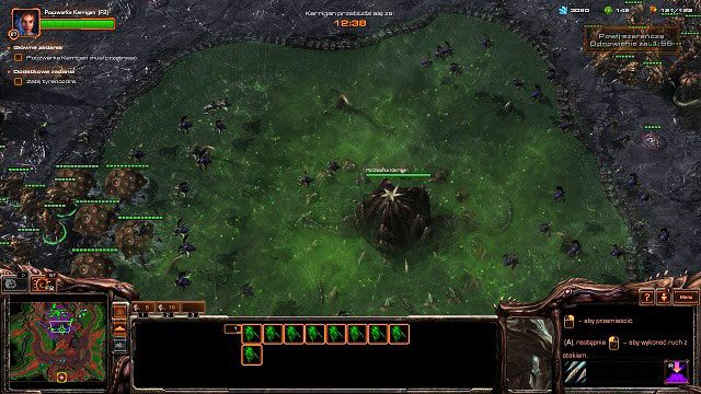 Okres ochronny na poczwarki - Czas próby (osiągnięcia) | Kampania - Zerus | StarCraft II Heart of the Swarm - StarCraft II: Heart of the Swarm - poradnik do gry