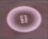 Paczka - Przedmioty | Grand Theft Auto 3 - Grand Theft Auto 3 - poradnik do gry