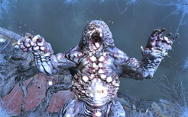 Początek tego pojedynku jest bardzo liniowy, gdyż niezależnie od tego jak się zachowasz zostaniesz powalony przez niedźwiedzicę na ziemię - Zamelduj o zbliżającym się ataku na D6 | Rozdział 28 - Ogród | Metro Last Light - Metro: Last Light - poradnik do gry