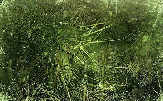 Bagna to rozległe i niebezpieczne miejsce, tak więc przed wyruszeniem na poszukiwania paliwa dobrze byłoby dowiedzieć się co nieco na ich temat - Znajdź paliwo do wyciągarki promu | Rozdział 16 - Zmierzch | Metro Last Light - Metro: Last Light - poradnik do gry