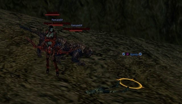 Gracz ze statusem PK z bordowym Nickiem - Podstawy - Player vs Player - Lineage II: Goddess of Destruction - poradnik dla początkujących