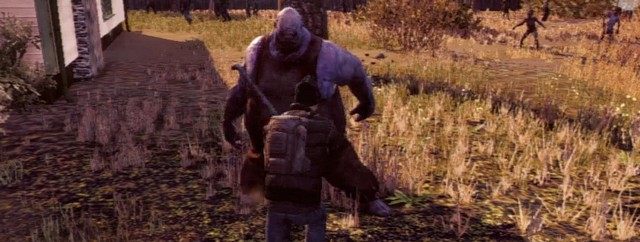 Big Bastard (Big Un) to najgroźniejszy z przeciwników w grze, jest wielki, szarżuje, może rozerwać cię na strzępy, jest bardzo trudny do zabicia, potrącenie samochodem niewiele daje, strzałów prosto w głowę trzeba zadać kilkanaście - Eksploracja | Wskazówki | State of Decay - State of Decay - poradnik do gry