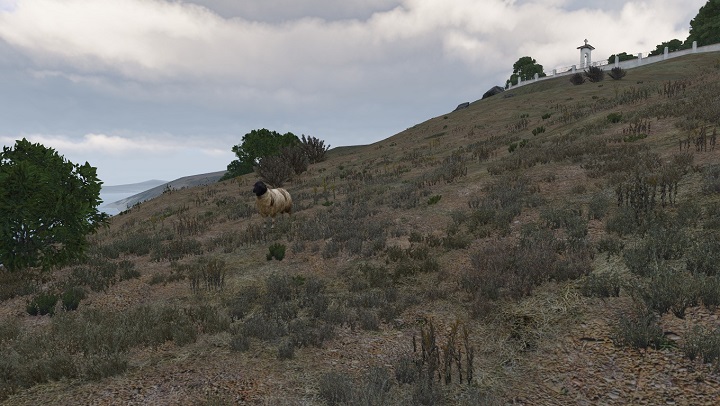 Standardowy widok z pierwszej osoby. - Najczęściej zadawane pytania (FAQ) w ArmA 3 - Arma III - poradnik do gry