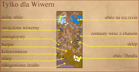 - Zniszcz bazę ludzi broniącą szczytu - Rozdział VI: Tylko dla Wiwern | Kampania Orków | Warcraft III Reign of Chaos - Warcraft III: Reign of Chaos - poradnik do gry