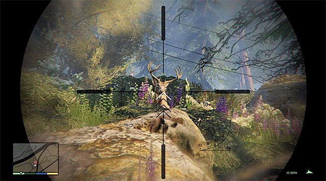 Pierwszy łoś - GTA 5: Praktyka łowiecka - solucja, nagrody, wyzwania - GTA 5 - poradnik do gry