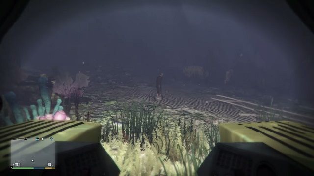 Biedulkę znajdziemy na samym dnie oceanu. - Gta 5: Denatka, Murder Mystery - solucja, mapa - GTA 5 - poradnik do gry