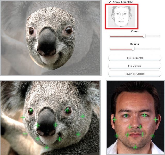 Ustawiamy swój obrazek mniej więcej zgodnie z szablonem, następnie dostosowujemy kolorystykę - Funkcja Game Face | Wirtualne kluby w FIFA 14 - FIFA 14 - poradnik do gry