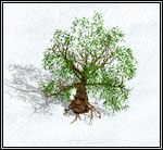 Podnosi w zamian za sowite wynagrodzenie poziom naszego herosa - Heroes of Might & Magic IV - poradnik do gry