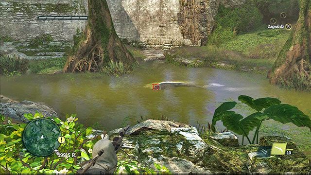 Asasyn Edward, łowca krokodyli. - Zwierzęta lądowe w Assassins Creed IV Black Flag - Assassins Creed IV: Black Flag - poradnik do gry