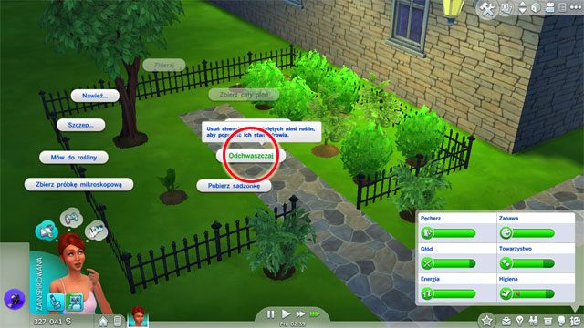 Co jakiś czas odchwaszczaj rośliny - Sims 4: Ogrodnictwo - jak rozwijać? Umiejętności, porady - Sims 4 - poradnik do gry