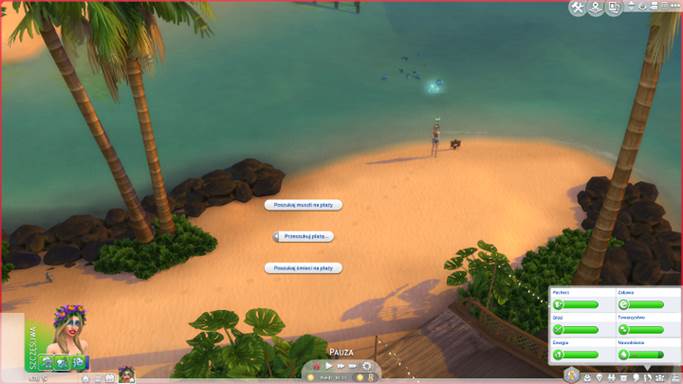 Na plażach możesz odnaleźć wiele ciekawych przedmiotów. - Sims 4 Wyspiarskie życie: Ocean, plaże - nowe aktywności - Sims 4 - poradnik do gry