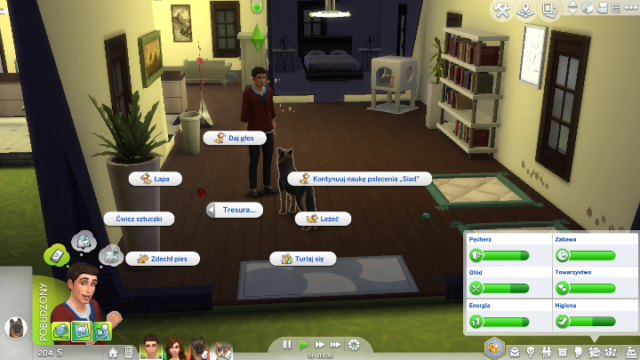 Tresowanie pupila jest bardzo proste - wystarczy kliknąć na nim lewym przyciskiem myszy, wybrać opcję Więcej opcji - Sims 4 Psy i koty: Tresowanie zwierząt - Sims 4 - poradnik do gry