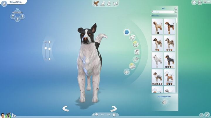 Ras dostępnych w dodatku jest mnóstwo - pies pasterki, owczarek australijski, basenji, border colie, bulterier, bokser, kot bengalski, birmański, brytyjski, bombajski i wiele innych - Sims 4 Psy i koty: Tworzenie zwierząt - Sims 4 - poradnik do gry
