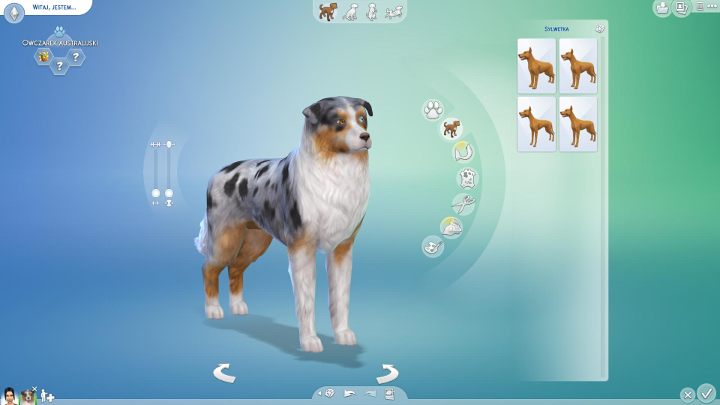 Następnie możesz wybrać sylwetkę swojego zwierzaka - Sims 4 Psy i koty: Tworzenie zwierząt - Sims 4 - poradnik do gry