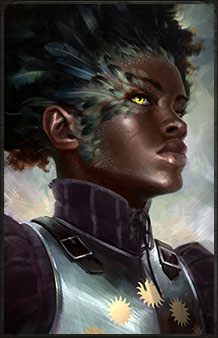 Pallegina: paladyn, ptasi boski, żołnierz Republik Vailiańskich - Pillars of Eternity: Drużyna - przyjmowanie nowych bohaterów - Pillars of Eternity - poradnik do gry