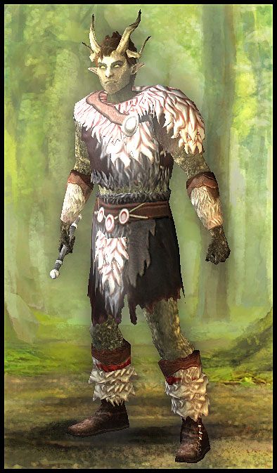 Druid jest jedną z klas magicznych, jednak posiada dwie unikalne cechy - Pillars of Eternity: Druid | Klasy postaci - Pillars of Eternity - poradnik do gry