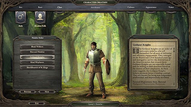 Zakon nie jest elementem, na którym należy budować swoją postać. - Pillars of Eternity: Paladyn | Klasy postaci - Pillars of Eternity - poradnik do gry