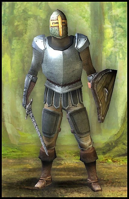 Wojownik jest najbardziej wszechstronną postacią w grze, przynajmniej w walce w zwarciu - Pillars of Eternity: Wojownik | Klasy postaci - Pillars of Eternity - poradnik do gry