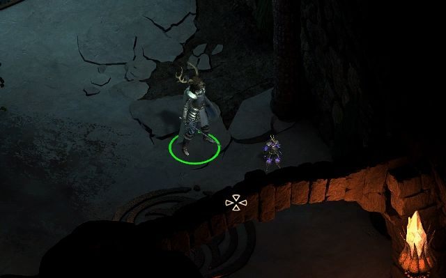 W Pokoju Animatów znajdziesz małe Animatę, który będzie za tobą chodził podczas gry. - Pillars of Eternity: Cliaban Rilag, Ruiny (Cliaban Rilag, Ruins) - mapa - Pillars of Eternity - poradnik do gry