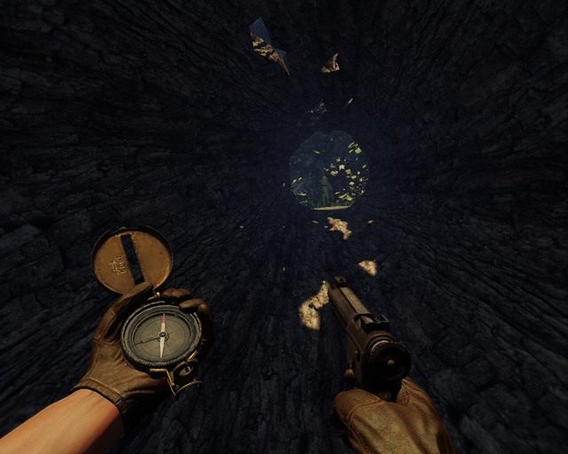 Musisz przejść przez tą drogę wewnątrz zawalonego drzewa by dostać się do satuetki - Mayan Jungle | Skarby w Deadfall Adventures - Deadfall Adventures - poradnik do gry