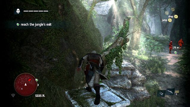 Drzewo, z którego łatwo zabijesz następną dwójkę - A Single Madman - Assassins Creed IV: Black Flag - poradnik do gry