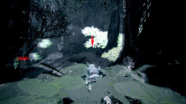 Pierwszy strażnik w krzakach - The Observatory - Assassins Creed IV: Black Flag - poradnik do gry