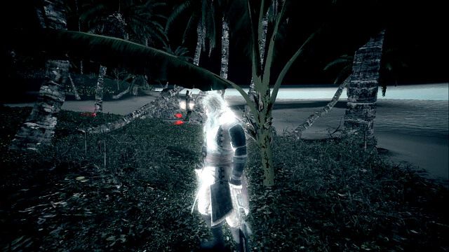 Zwierzęta łatwo znajdziesz dzięki orlemu wzrokowi - This Tyro Captain - Assassins Creed IV: Black Flag - poradnik do gry