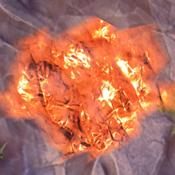 1 - Surowce | Podstawy rozgrywki Landmark - Landmark - poradnik do gry