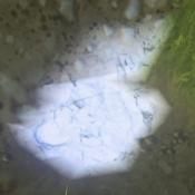 8 - Surowce | Podstawy rozgrywki Landmark - Landmark - poradnik do gry