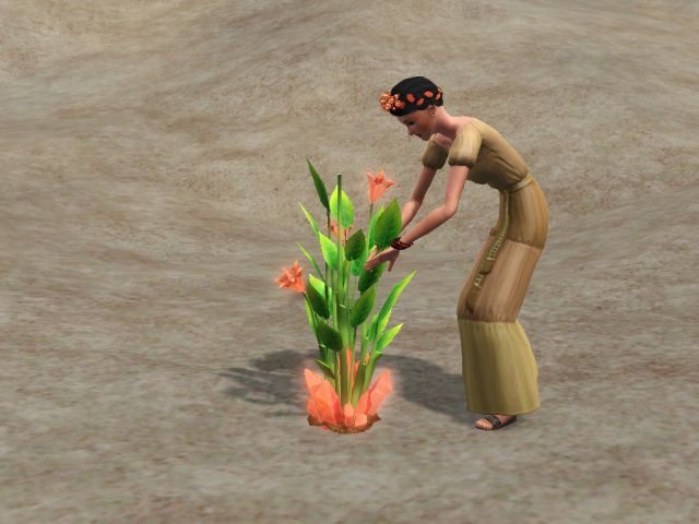 Zbieranie kryształów naładowanych gniewem - Oasis Landing - 3 wersje przyszłości | Miasto przyszłości - The Sims 3: Skok w Przyszłość - poradnik do gry