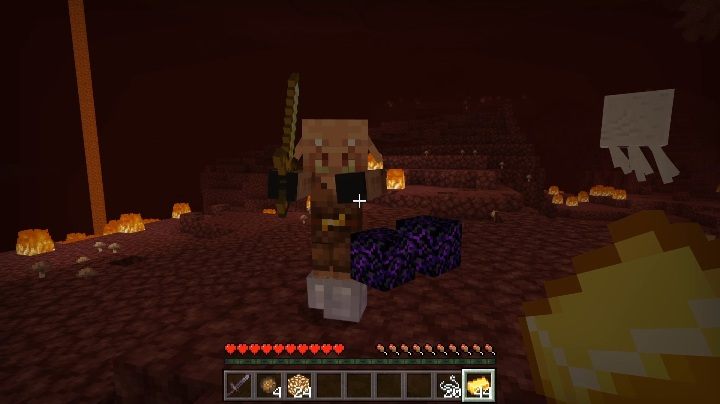 Bez żadnych zahamowań zabrał moje buty - Minecraft: Pigliny - Nether Update - Minecraft - poradnik do gry