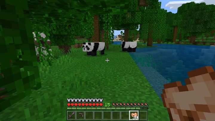Pandy żyją jedynie w dżungli - Minecraft: Pandy - Minecraft - poradnik do gry