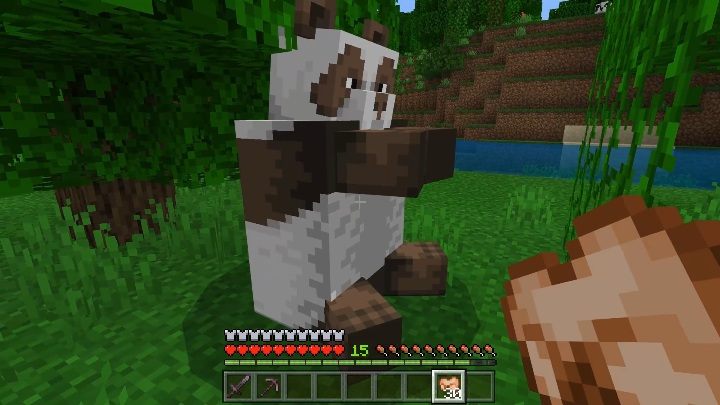 Pandy są z natury leniwe i spokojne - Minecraft: Pandy - Minecraft - poradnik do gry
