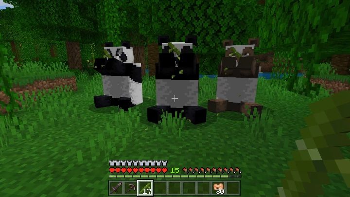 Małe pandy kichają, czym przywołują do siebie swoich rodziców - Minecraft: Pandy - Minecraft - poradnik do gry
