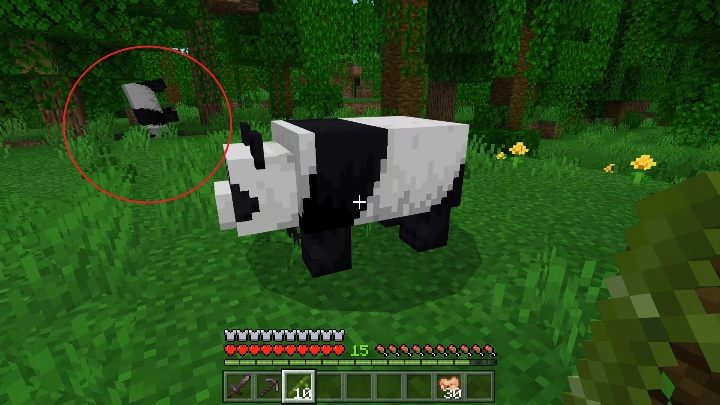 To naprawdę normalne, nie musisz się martwić - Minecraft: Pandy - Minecraft - poradnik do gry