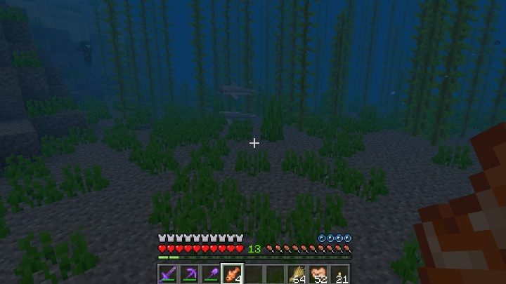 Delfiny pojawiają się w oceanach - Minecraft: Delfiny - Aktualizacja wodna / Update Aquatic - Minecraft - poradnik do gry