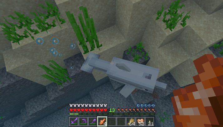 Delfiny mają kilka zachowań, na które warto zwrócić uwagę - Minecraft: Delfiny - Aktualizacja wodna / Update Aquatic - Minecraft - poradnik do gry