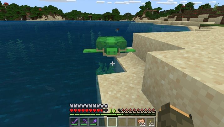 Żółwie pojawiają się na ciepłych plażach - Minecraft: Żółwie - Aktualizacja wodna / Update Aquatic - Minecraft - poradnik do gry