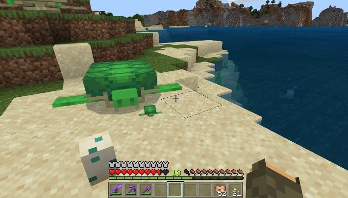 Żółwie poruszają się bez celu - Minecraft: Żółwie - Aktualizacja wodna / Update Aquatic - Minecraft - poradnik do gry