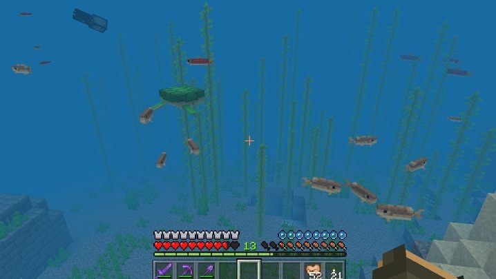 Małe żółwie są często atakowane przez - Minecraft: Żółwie - Aktualizacja wodna / Update Aquatic - Minecraft - poradnik do gry