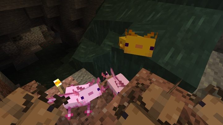 To mob pasywny, który nie atakuje gracza, ale inne moby już tak - Minecraft Caves & Cliffs: Aksolotl - występowanie, zastosowanie - Minecraft - poradnik do gry