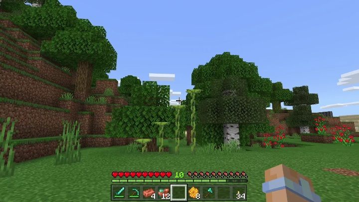 Dwa rodzaje - duże i małe - Minecraft Caves & Cliffs: Mimoza - otrzymywanie, zastosowanie - Minecraft - poradnik do gry