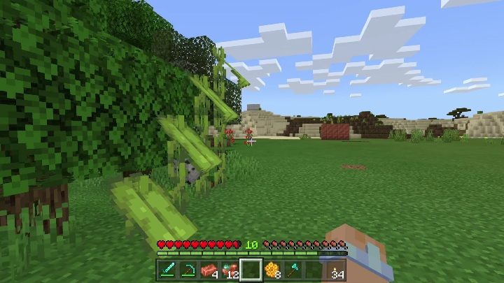 Mimozy znajdziecie - Minecraft Caves & Cliffs: Mimoza - otrzymywanie, zastosowanie - Minecraft - poradnik do gry