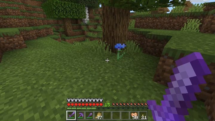Pszczoły rozmnożysz za pomocą dowolnego kwiatu - nie licząc Witherowej róży - Minecraft: Pszczoły - Minecraft - poradnik do gry