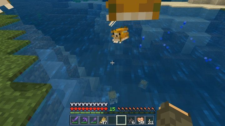 Ryby to pasywne moby, które znajdziesz w zbiornikach wodnych - Minecraft: Ryby - Minecraft - poradnik do gry